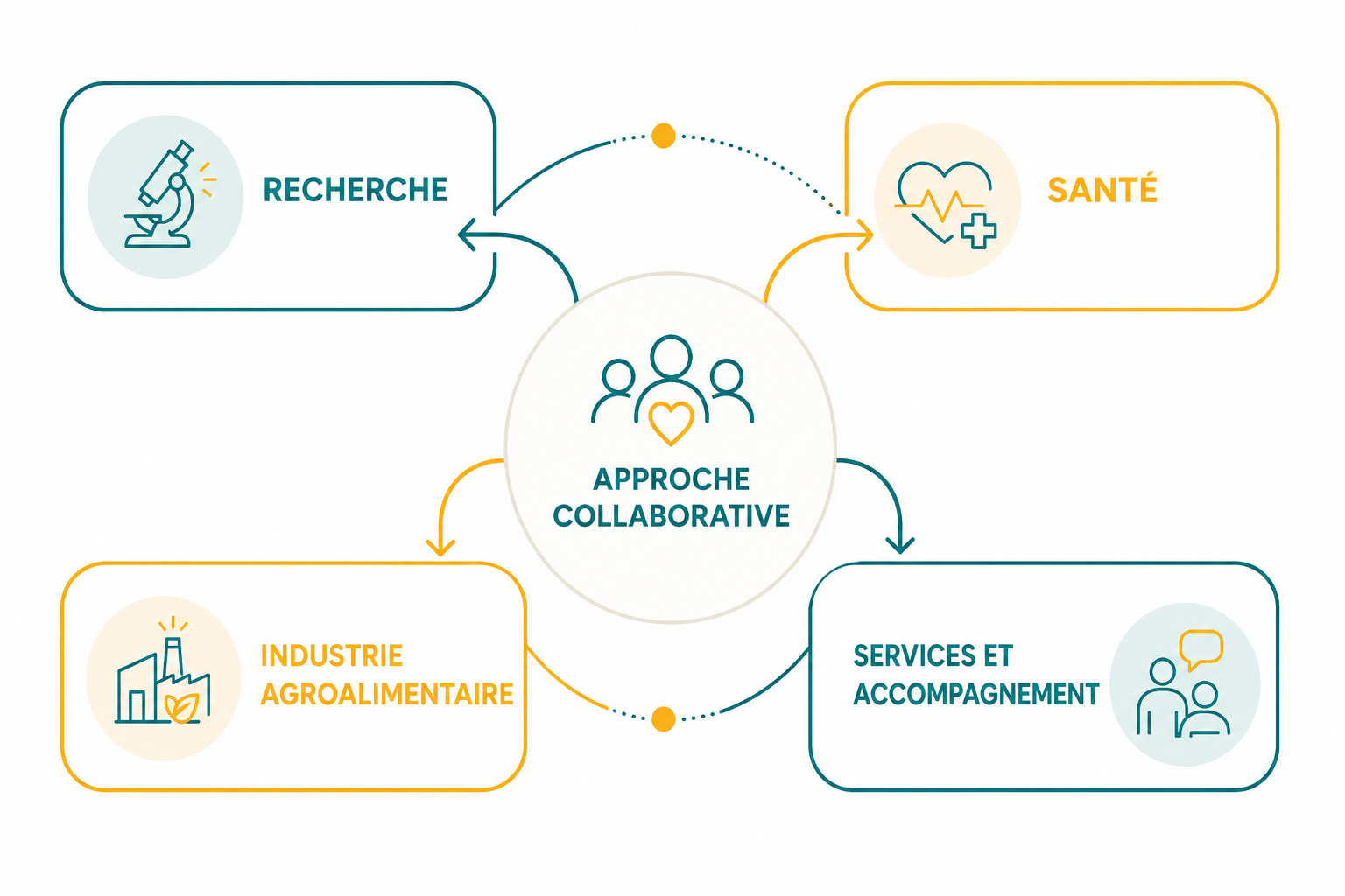 Schéma de l'approche collaborative d'ALIM50+ entre recherche, santé, industrie agroalimentaire et services et accompagnement. Une association alimentation seniors