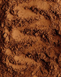Le cacao serait bénéfique en cas de problèmes artériels