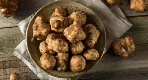 Seniors : les champignons bons pour la mémoire