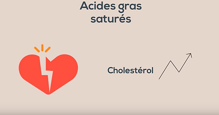 Bases de la nutrition, Les lipides