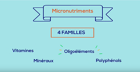 Bases de la nutrition Les micronutriments